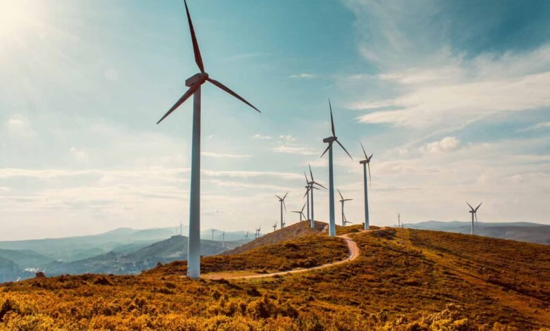 توجيهات-بتقييم-الأثر-البيئي-لمشروع-“سكاتك”-للرياح-بالبحر-الأحمر