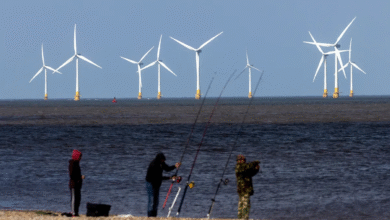 المملكة-المتحدة-تسجل-إنتاجاً-قياسياً-للكهرباء-من-المصادر-المتجددة-في-2025