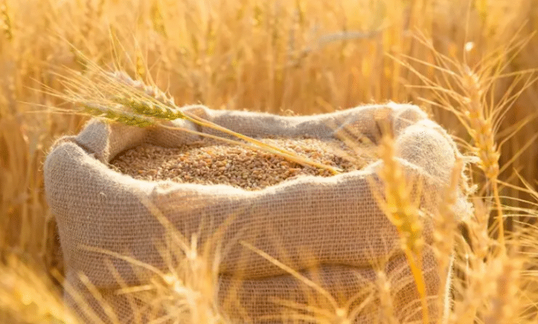 توجيهات-رئاسية-للحكومة-بتسريع-تفعيل-“البورصة-السلعية”