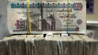 مسح:-محافظ-ودائع-البنوك-تتجاهل-خفض-الفائدة-وتواصل-الارتفاع-بـ2025