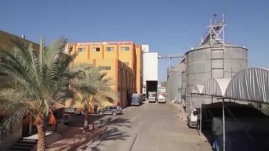 “العامة-للصوامع”-تربح-187.3-مليون-جنيه-خلال-7-أشهر