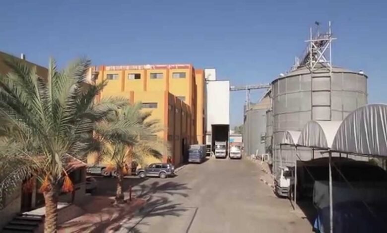 “العامة-للصوامع”-تربح-187.3-مليون-جنيه-خلال-7-أشهر