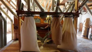 “مطاحن-غرب-الدلتا”-تستهدف-ربح-170.5-مليون-جنيه-بموازنة-2026-2027