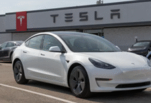 ارتفاع-مبيعات-تسلا-فى-الصين-خلال-بداية-2026