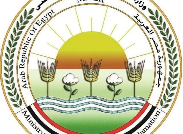 “الزراعة”-تعلن-خطة-لتعزيز-نفاذ-الصادرات-الزراعية-المصرية-للأسواق-العربية-والخليجية
