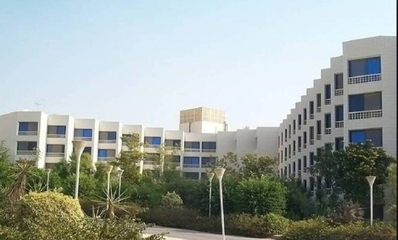 “الجيزة-للمقاولات”-تربح-141-مليون-جنيه-خلال-2025-بنمو-97%