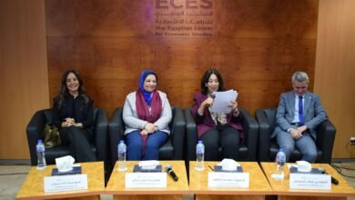 خبراء-يناقشون-فرص-مصر-للاستفادة-من-الطاقة-الجديدة-والمتجددة