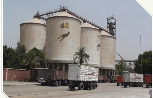 “مطاحن-الإسكندرية”-تستهدف-ربح-40-مليون-جنيه-بموازنة-2026-2027