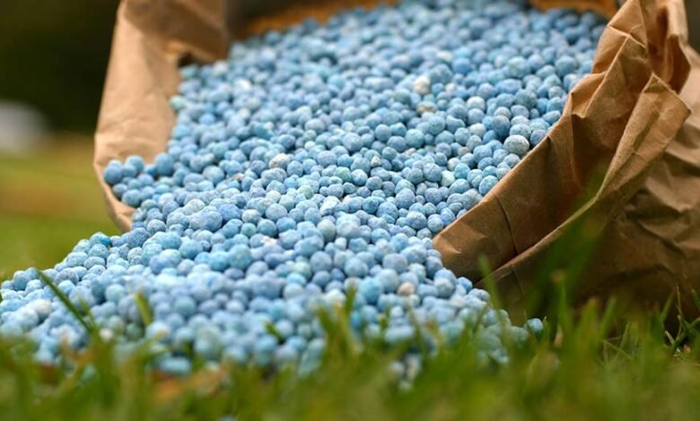 “أبو-قير-للأسمدة”.-استفادة-من-الطلب-العالمي