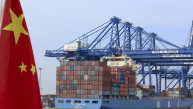 تراجع-حاد-في-الصادرات-الصينية-من-المعادن-النادرة-إلى-اليابان