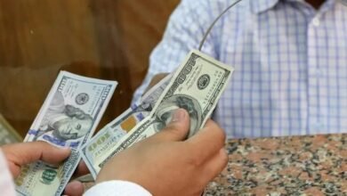 6.4-مليار-دولار-زيادة-في-تحويلات-المصريين-بالخارج-خلال-8-أشهر